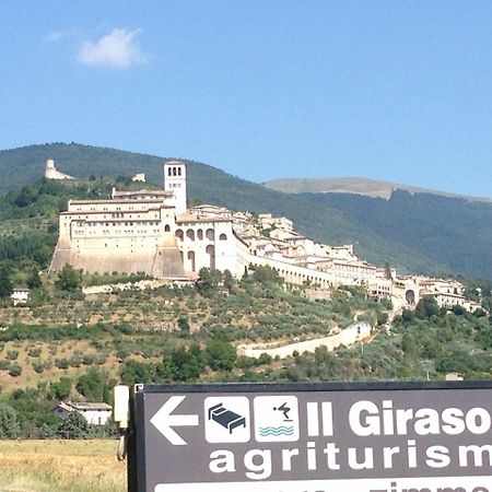 Agriturismo Il Girasole Assisi Eksteriør billede