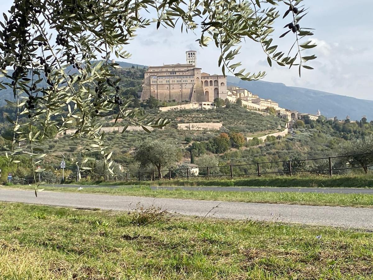 Agriturismo Il Girasole Assisi Eksteriør billede
