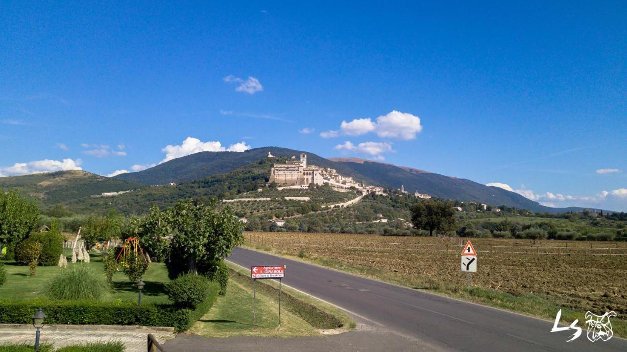 Agriturismo Il Girasole Assisi Eksteriør billede