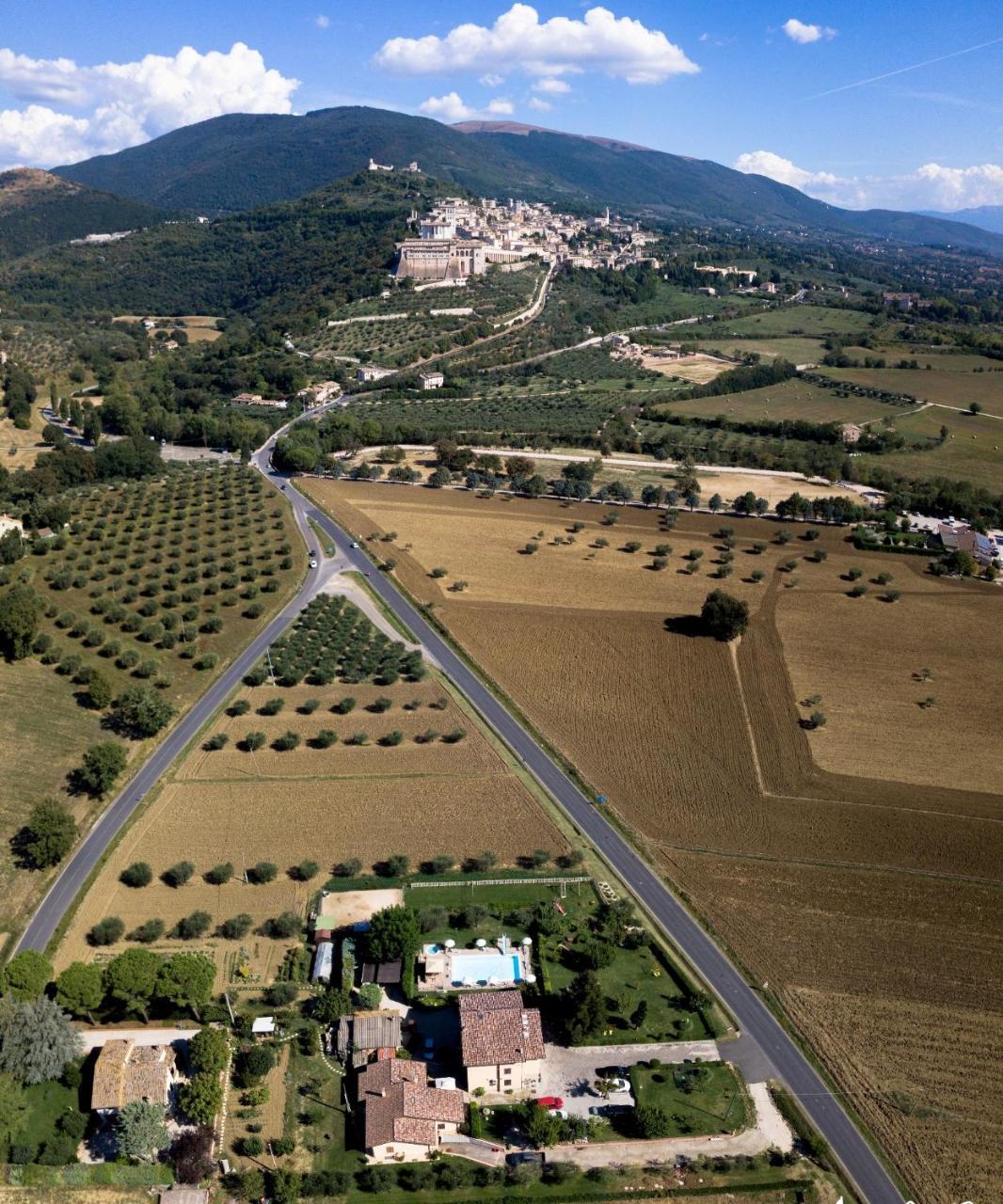 Agriturismo Il Girasole Assisi Eksteriør billede