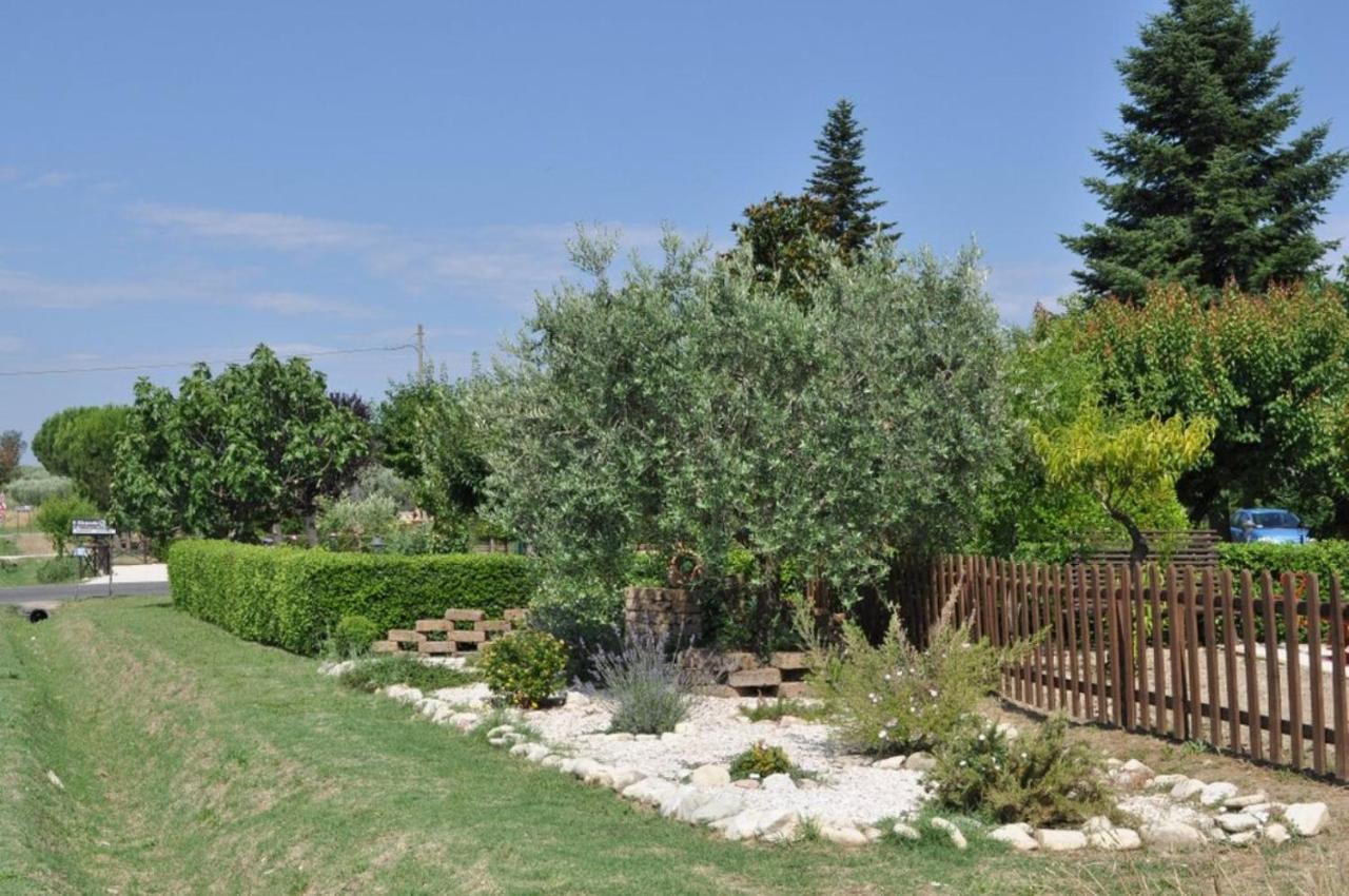 Agriturismo Il Girasole Assisi Eksteriør billede