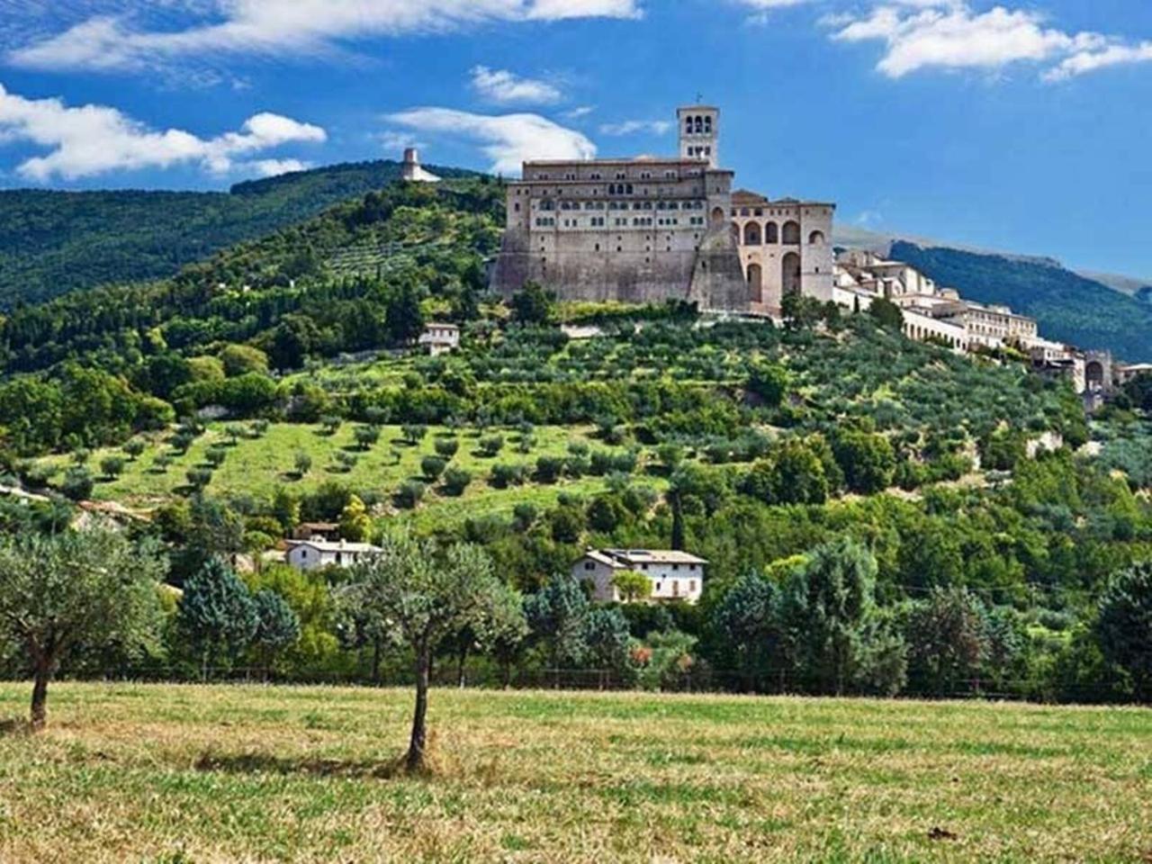 Agriturismo Il Girasole Assisi Eksteriør billede
